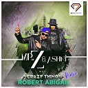 MR Z Ashni - Crazy Things Robert Abigail Remix