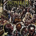 Incinerate - Infecting the Crypts