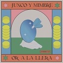 Junco y Mimbre - Imatge inversa