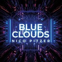 Nico Pitzer - Plastic