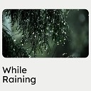 Rainfall - Rain Grandee