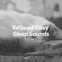 Womb Sound - Relaxed Cosy Sleep Sounds Pt 19