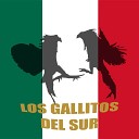 Los Gallitos del Sur - Cayetano Quintana