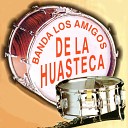 Banda Los Amigos De La Huasteca - Acapulco Tropical