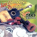 Trio Los Camperos De Hidalgo - Camaron Pelao