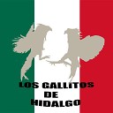 Los Gallitos de Hidalgo - Apenas Te Fuiste Ayer