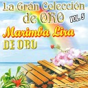 Marimba Lira De Oro - Popurri Santanera