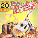 Trio Los Camperos De Hidalgo - Chaparrita De Mi Vida