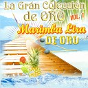 Marimba Lira De Oro - El Sinaloense