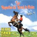 Los Vaqueritos Del Corral De Piedra - Cuando Era Un Jovencito