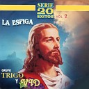 Grupo Trigo Y Vid - Estoy Pensando En Dios