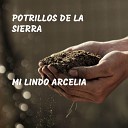 Potrillos De La Sierra - Madre Asesina