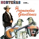 Los Tremendos Gavilanes - San Juan Del Rio