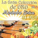 Marimba Lirica De Oro - Popurri Mexicano