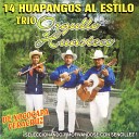 Trio Orgullo Huasteco De Xococapa Veracruz - La Cecilia