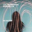 Los Tremendos Huastecos - Polka De Monterrey