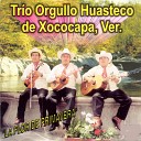Trio Orgullo Huasteco De Xococapa Veracruz - El Gusto