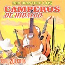 Trio Huasteco Los Camperos De Hidalgo - El Venadito