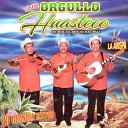 Trio Orgullo Huasteco De Xococapa Veracruz - Soledad