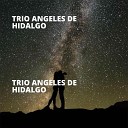 Trio Angeles De Hidalgo - San Juan Ahuehueco