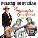Los Tremendos Gavilanes - El Gallito