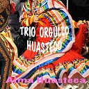 Trio Orgullo Huasteco - El Gusto