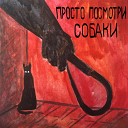 Просто Посмотри - Собаки