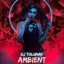 DJ Tolunay - Ambienth