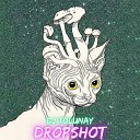 DJ Tolunay - Drop Shot