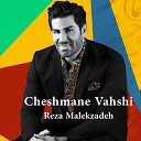 Reza Malekzadeh - Cheshmane Vahshi