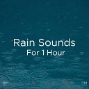 Rain Sounds Rain for Deep Sleep BodyHI - Звуки дождя для сна