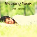 Crickets Sound Orchestra - Calm Nature Sounds