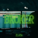 Zlaya - Broker