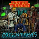 System Trashed - Asleep at the Wheel