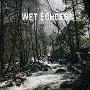 Wet Echoes - Invisible Ones