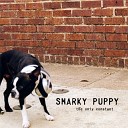 Snarky Puppy - Revisited