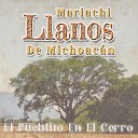Mariachi Llanos De Michoacan - Mi Gorrioncito