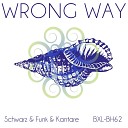 Schwarz Funk Kantare - Wrong Way