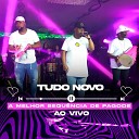 Tudo Novo feat Destak do Samba - Retr Me Assume ou Me Esquece Perfei o Pele na Pele Fora da Lei Ao…