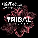 Stev Dive Chris Beckham - I Am What I Am