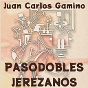 Juan Carlos Gamino - Playas De San Telmo Hd