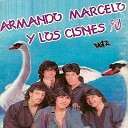 Los Cisnes 90 Armando Marcelo - Besos de Fuego Chinita Mala Flor de un Dia A Tiempo Esperando Tu…