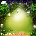 RelaxMyBrain RelaxMyBrain Sleep Stories - Sleep Story Peter Pan Crickets Water Sounds Scene Pt…