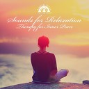 Mindfullness Meditation World - Summer Night Sounds