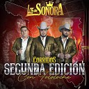 Los De Sonora - El Arbol Del Mayo