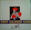 Andy Goldner Band - Little Pershing