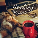 Piano Cats - Tend to My Aches