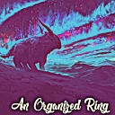 Roxanne McDonough - An Organized Ring
