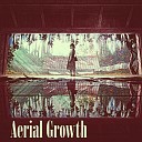 Forest Arnold - Aerial Growth