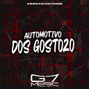 MC BM OFICIAL, DJ JS07, DJ Ellie 011 feat. MC SILLVEER - Automotivo dos Gostozo